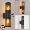 Tolsona Outdoor Wall Light black, 2-light sources, Motion sensor