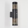 Tolsona Outdoor Wall Light black, 2-light sources, Motion sensor