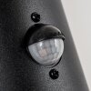 Tolsona Outdoor Wall Light black, 2-light sources, Motion sensor