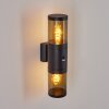 Tolsona Outdoor Wall Light black, 2-light sources, Motion sensor