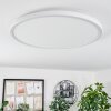 Hortinhas Ceiling Light LED white, 1-light source, Remote control, Colour changer