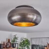 Zigne Ceiling Light Oxidised Silver, black, 1-light source