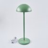 Pelaro Table lamp LED green, 1-light source