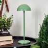 Pelaro Table lamp LED green, 1-light source
