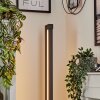Dubuisson Floor Lamp LED anthracite, 1-light source, Remote control
