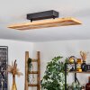 Adak Ceiling Light LED black, 1-light source