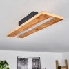 Adak Ceiling Light LED black, 1-light source