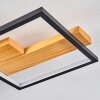 Pompu Ceiling Light LED black, 1-light source