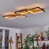 Pompu Ceiling Light LED black, 1-light source