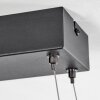 Adak Pendant Light LED black, 1-light source