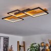 Pompu Ceiling Light LED black, 1-light source