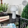 Telve Table lamp LED grey, 1-light source