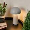 Telve Table lamp LED grey, 1-light source