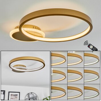 Bina Ceiling Light LED brass, 1-light source, Remote control