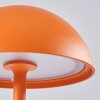 Pelaro Table lamp LED orange, 1-light source