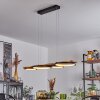 Rodekro Pendant Light LED black, 1-light source
