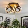 Chapotia Ceiling Light LED black, 1-light source