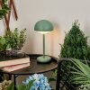 Bellange Table lamp LED green, 1-light source