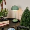 Bellange Table lamp LED green, 1-light source