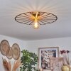 Carqueja Ceiling Light brass, 1-light source