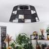 Daynard Ceiling Light black, 1-light source