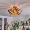 Corralejo Ceiling Light gold, 1-light source