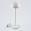 Pelaro Table lamp LED white, 1-light source