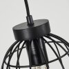 Piment Pendant Light black, 3-light sources