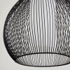 Barthoid Pendant Light black, 1-light source