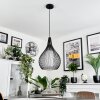 Barthoid Pendant Light black, 1-light source