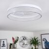Tapou Ceiling Light LED white, 1-light source