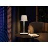 Philips Hue Go Table lamp LED green, white, 1-light source, Colour changer