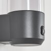 Gondoyer Outdoor Wall Light anthracite, 1-light source, Motion sensor