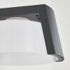 Lafite Outdoor Wall Light anthracite, 1-light source