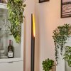 Aleman Floor Lamp LED gold, black, 1-light source