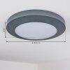 Durivier outdoor ceiling light LED anthracite, 1-light source