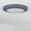 Durivier outdoor ceiling light LED anthracite, 1-light source