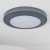 Durivier outdoor ceiling light LED anthracite, 1-light source
