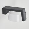 Lafite Solar lights LED anthracite, 1-light source, Motion sensor