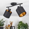 Alsen Ceiling Light black, 2-light sources