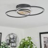 Audouin Ceiling Light LED Wood like finish, black, 1-light source, Remote control