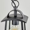 Trosa Hanging lamp black, 1-light source
