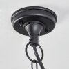 Trosa Hanging lamp black, 1-light source