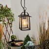 Trosa Hanging lamp black, 1-light source
