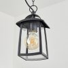 Trosa Hanging lamp black, 1-light source