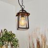 Trosa Hanging lamp black, 1-light source