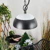 Ancemont Hanging lamp LED black, 1-light source
