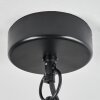 Ancemont Hanging lamp LED black, 1-light source