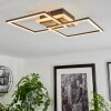 Audouin Ceiling Light LED Wood like finish, 1-light source, Remote control