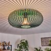 Oravi Ceiling Light green, 1-light source